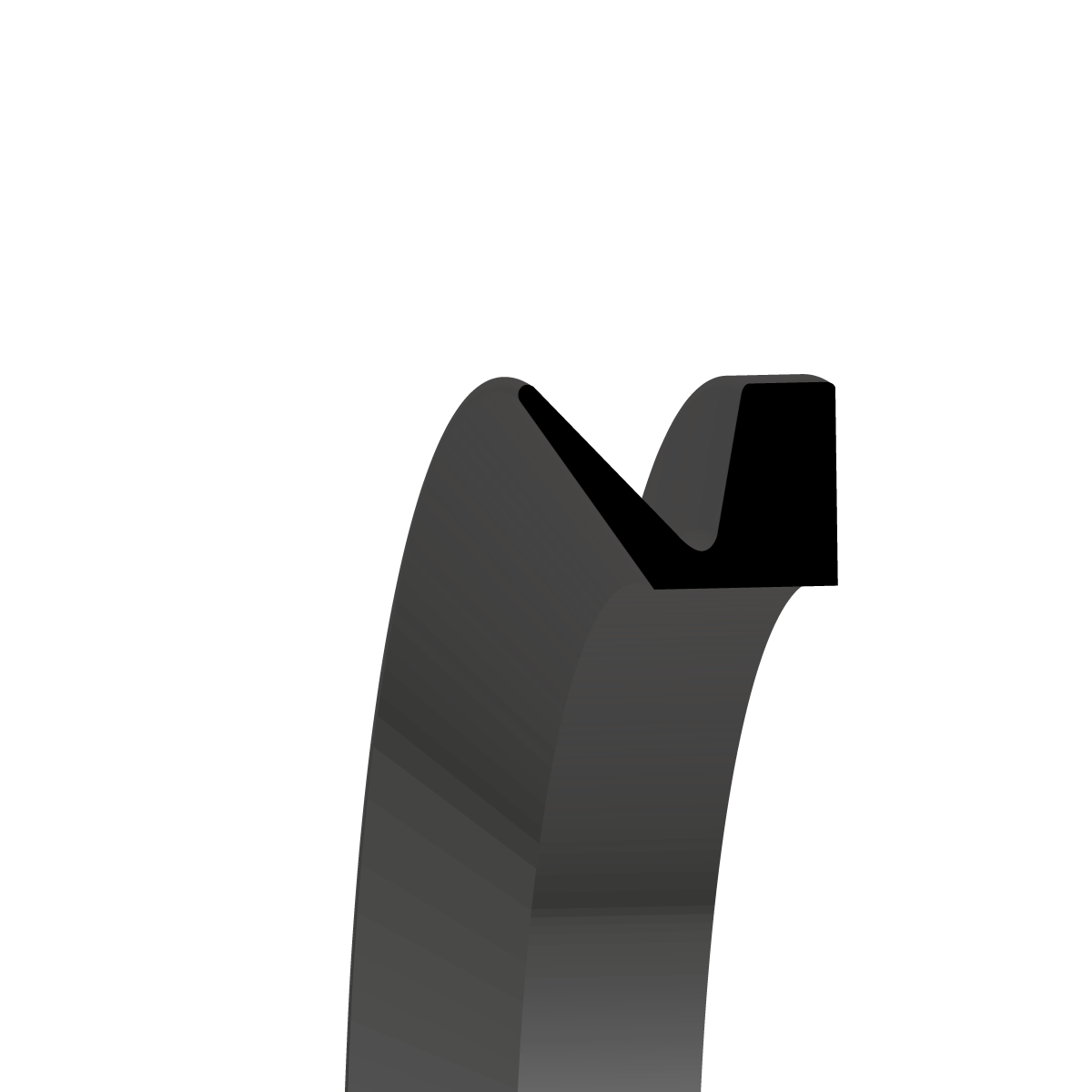 V-Ringe